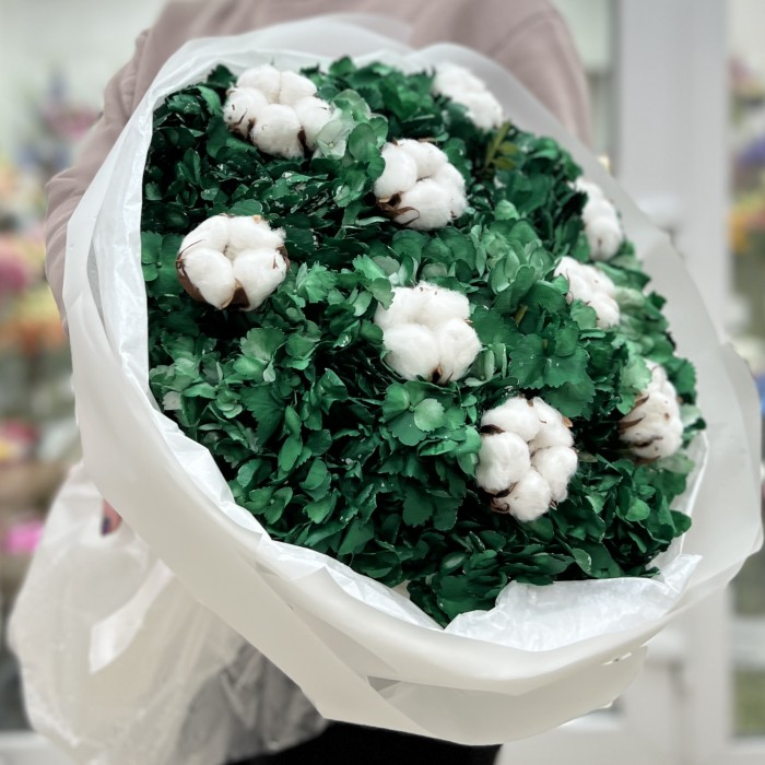 11 гортензий Дарк грин с хлопком