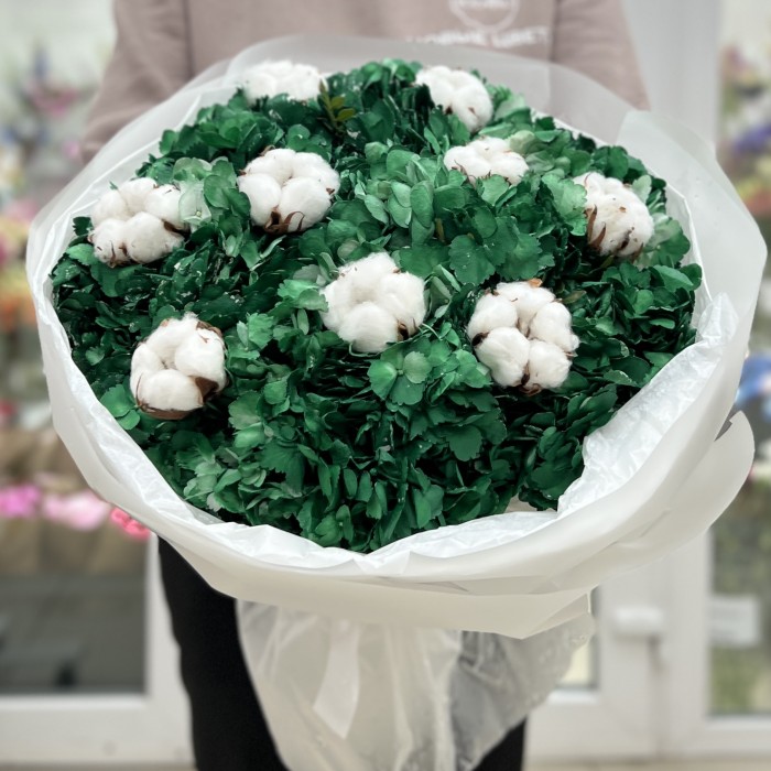 11 гортензий Дарк грин с хлопком