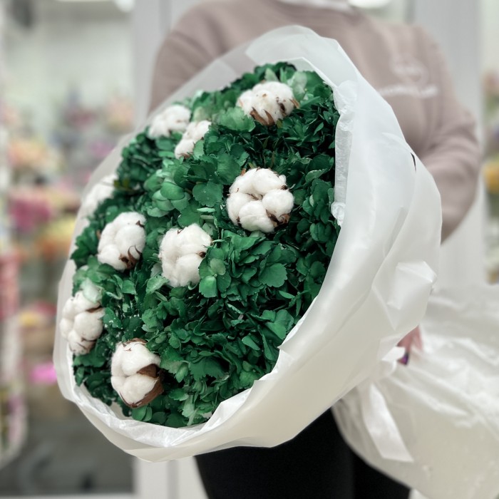 11 гортензий Дарк грин с хлопком