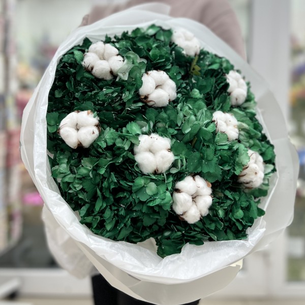 11 гортензий Дарк грин с хлопком