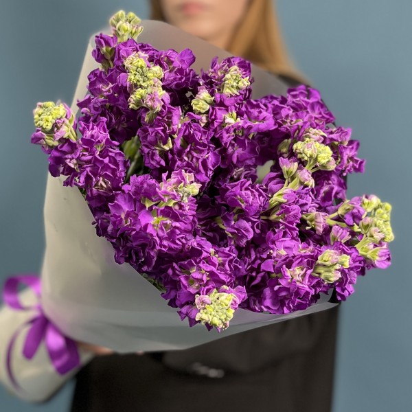 25 ароматных фиолетовых маттиол