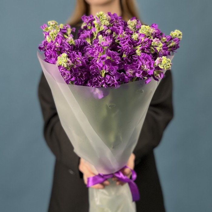 15 ароматных фиолетовых маттиол