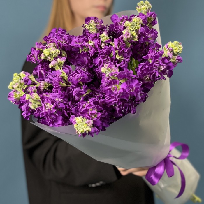 15 ароматных фиолетовых маттиол