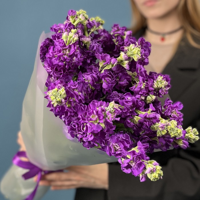 15 ароматных фиолетовых маттиол