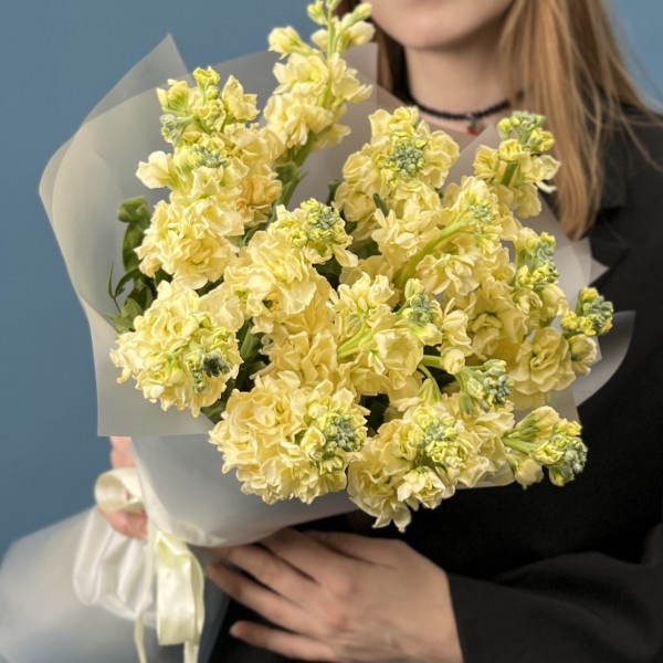 15 кремовых ароматных маттиол