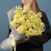 15 кремовых ароматных маттиол