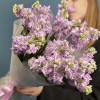 15 лавандовых ароматных маттиол