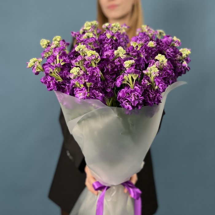 25 ароматных фиолетовых маттиол