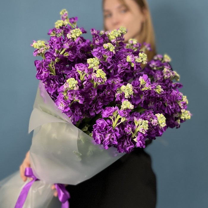 25 ароматных фиолетовых маттиол