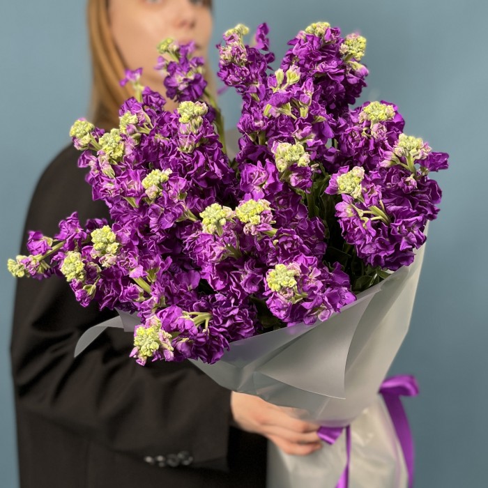 25 ароматных фиолетовых маттиол