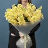 25 кремовых ароматных маттиол