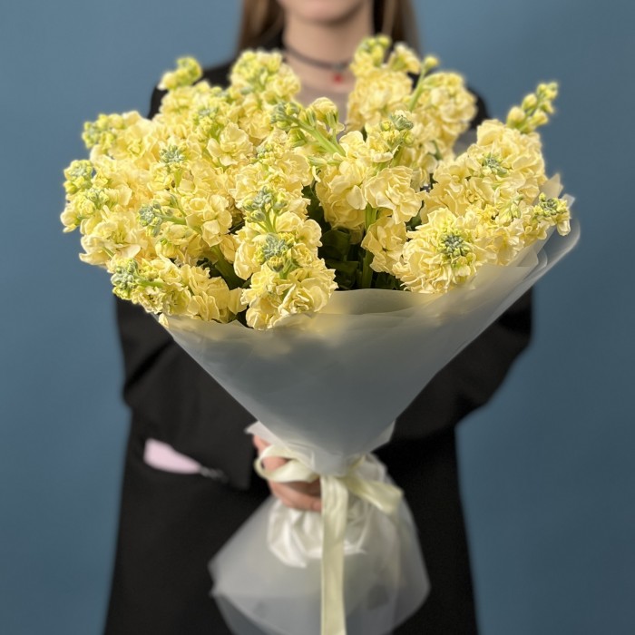 25 кремовых ароматных маттиол