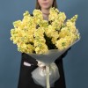 25 кремовых ароматных маттиол