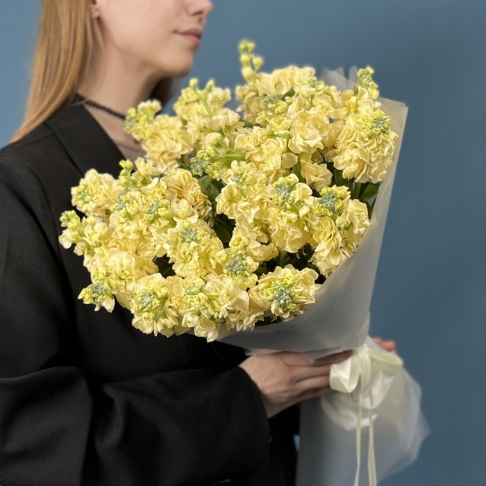 25 кремовых ароматных маттиол