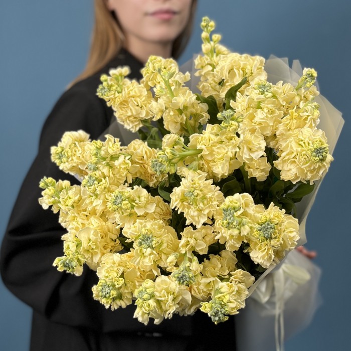 25 кремовых ароматных маттиол