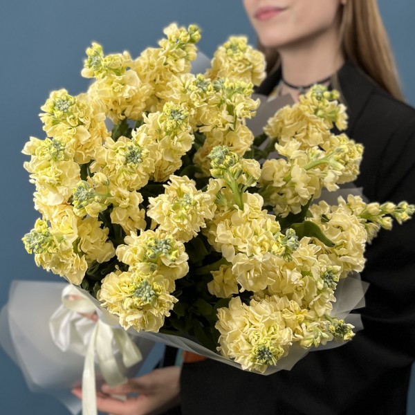 25 кремовых ароматных маттиол