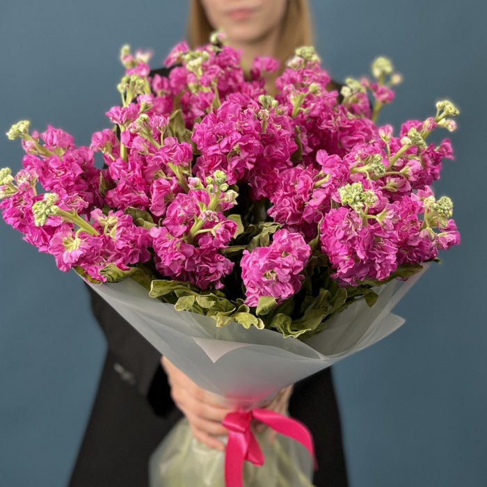 25 ароматных малиновых маттиол