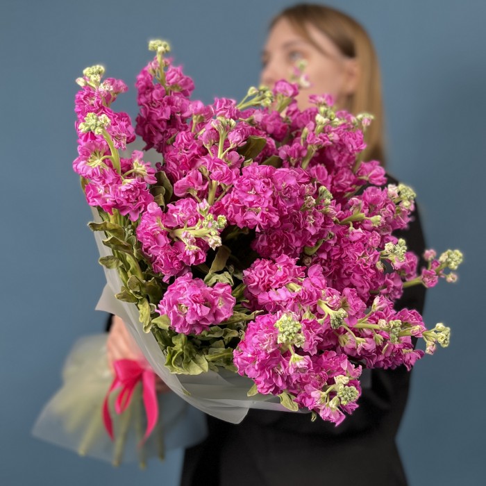 25 ароматных малиновых маттиол