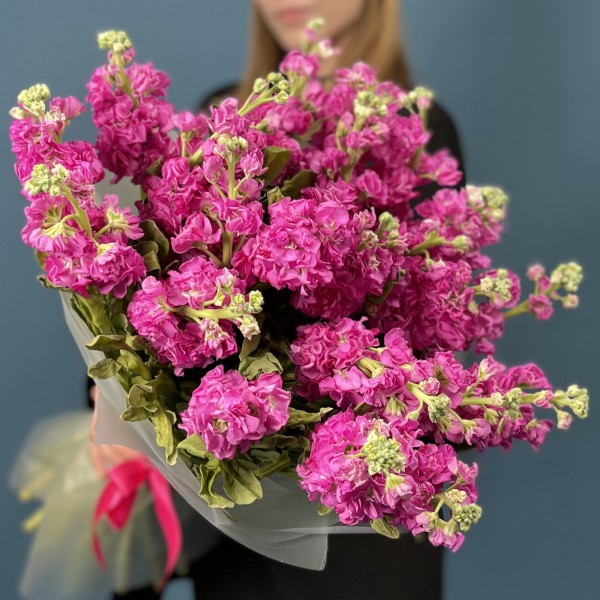 25 ароматных малиновых маттиол