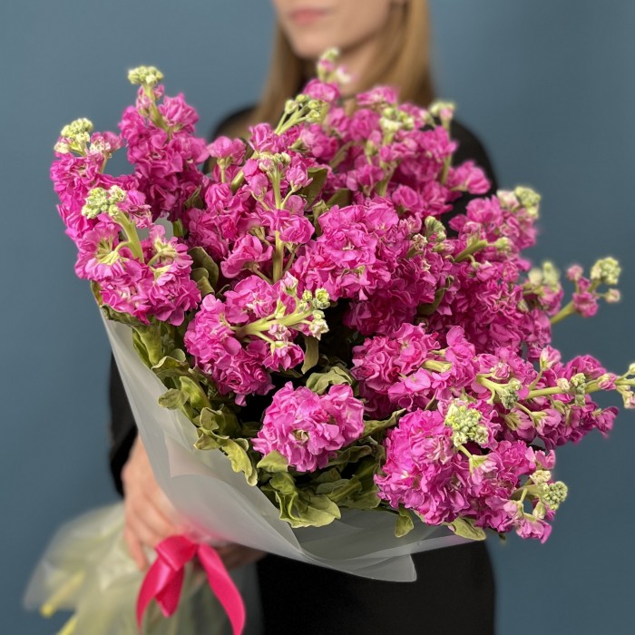 25 ароматных малиновых маттиол