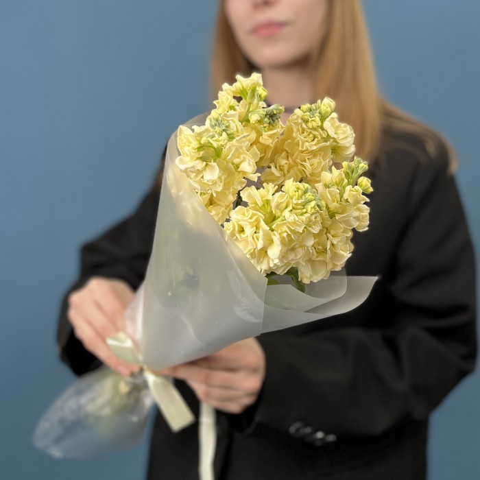 5 кремовых ароматных маттиол