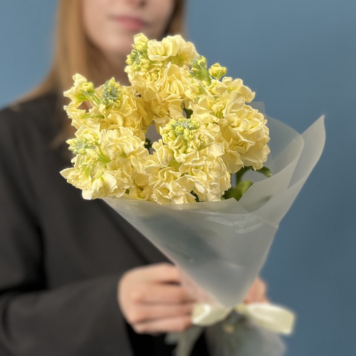 5 кремовых ароматных маттиол