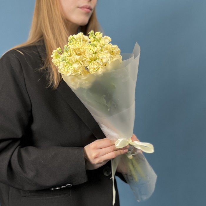 5 кремовых ароматных маттиол