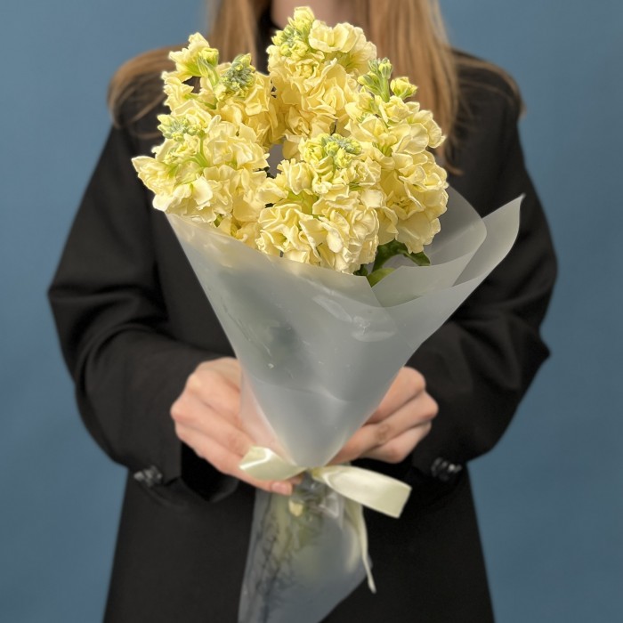 5 кремовых ароматных маттиол