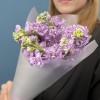 5 лавандовых ароматных маттиол