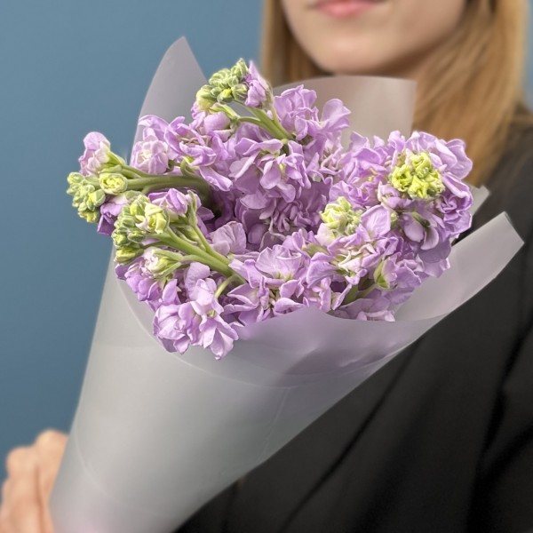 5 лавандовых ароматных маттиол