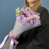 5 лавандовых ароматных маттиол