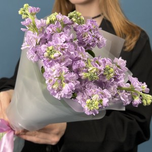 9 лавандовых ароматных маттиол 9 лавандовых ароматных маттиол