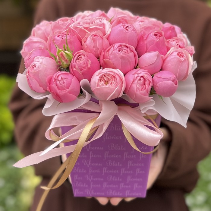 5 кустовых пионовидных роз Мансфилд Пинк Парк коробке