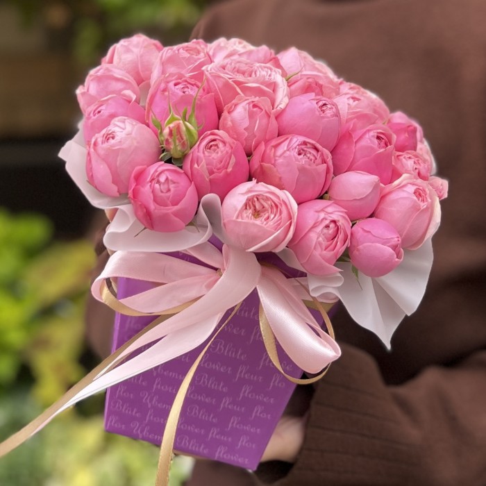 5 кустовых пионовидных роз Мансфилд Пинк Парк коробке