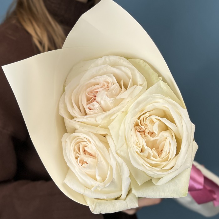 3 ароматные розы Вайт Охара 50 см