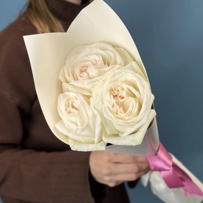 3 ароматные розы Вайт Охара 50 см