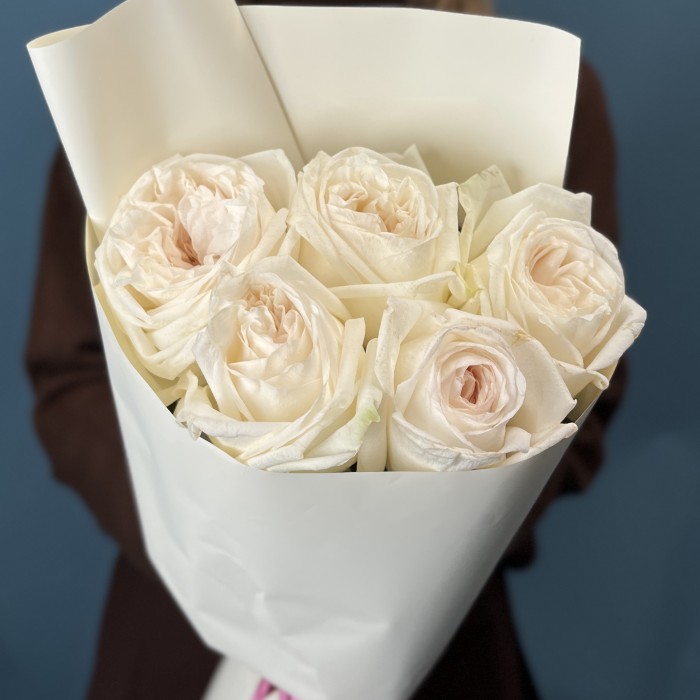 5 ароматных белых роз Вайт Охара 50 см