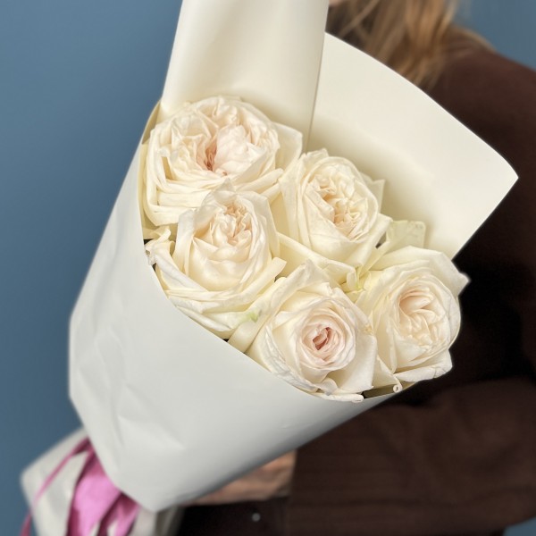 5 ароматных белых роз Вайт Охара 50 см