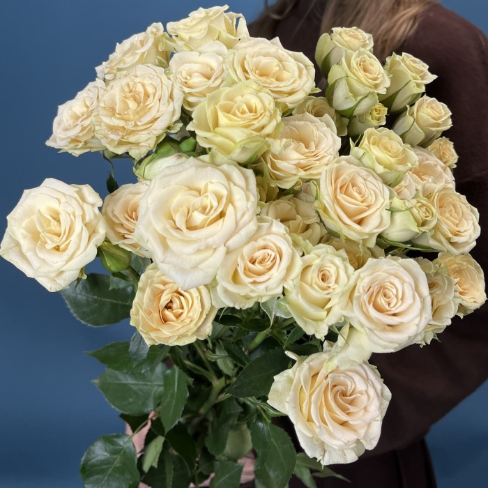 5 кустовых роз Тринити 80 см