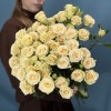 7 кустовых персиковый роз Тринити 80 см