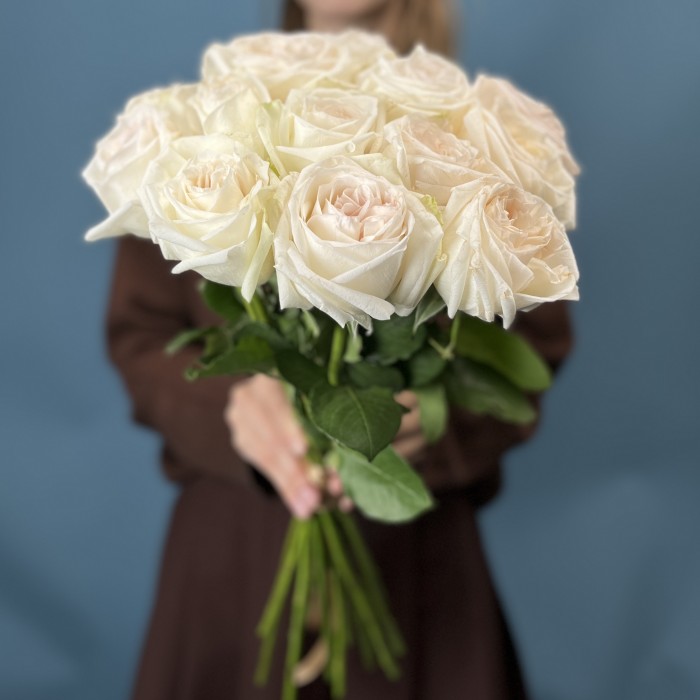 Роза Вайт Охара 50 см