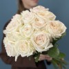 Роза Вайт Охара 50 см