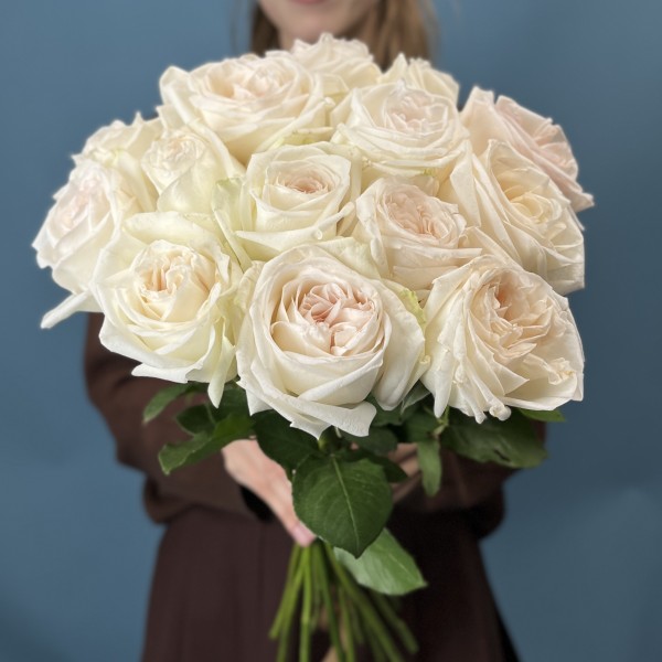 Роза Вайт Охара 50 см