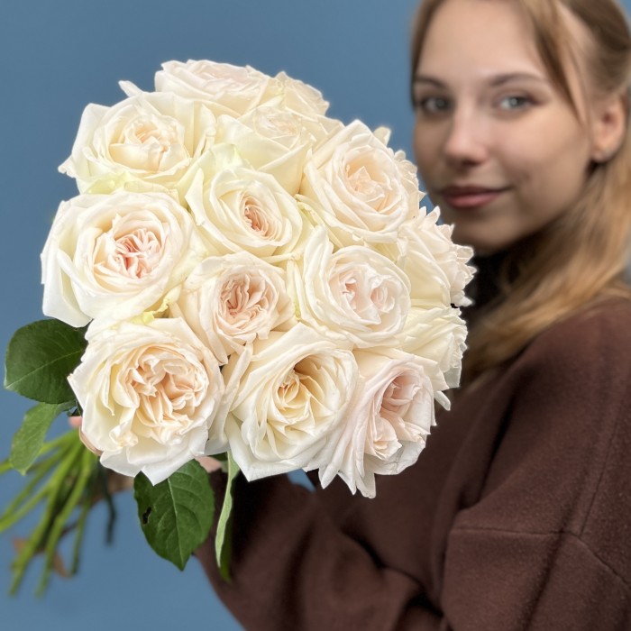 Роза Вайт Охара 50 см