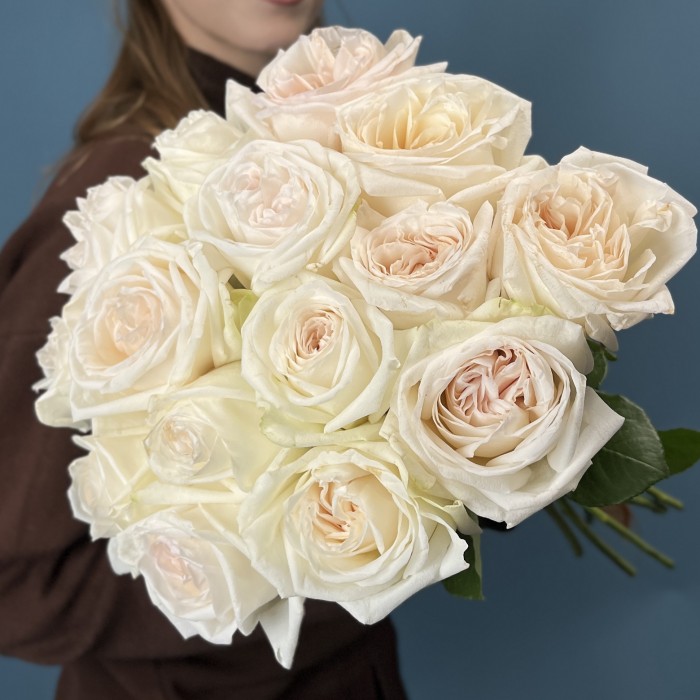 Роза Вайт Охара 50 см