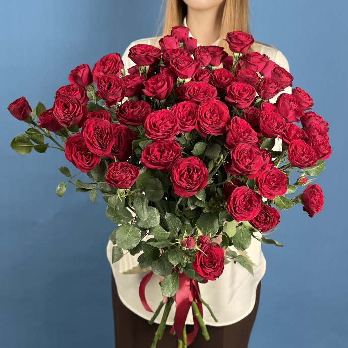 11 кустовых пионовидных роз Ред Трендсеттер 60 см