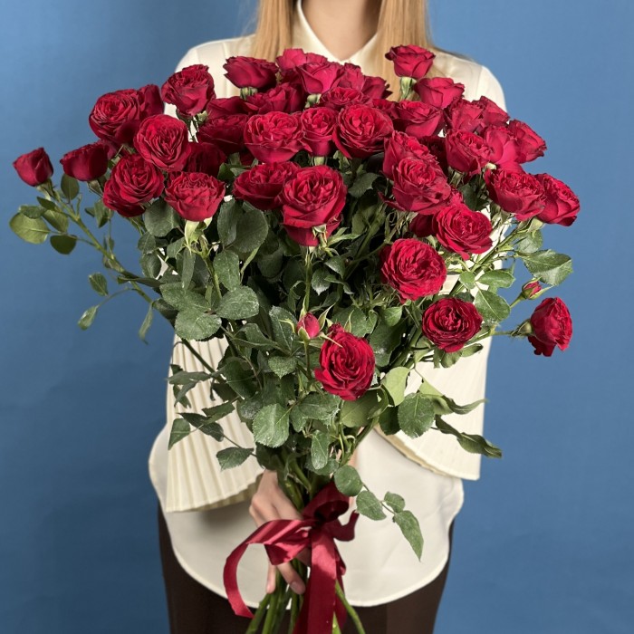 11 кустовых пионовидных роз Ред Трендсеттер 60 см