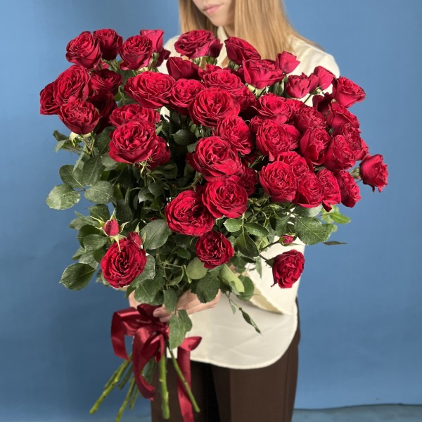 11 кустовых пионовидных роз Ред Трендсеттер 60 см
