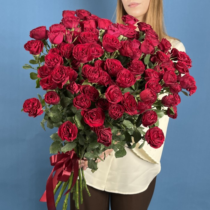 15 кустовых пионовидных роз Ред Трендсеттер 70 см