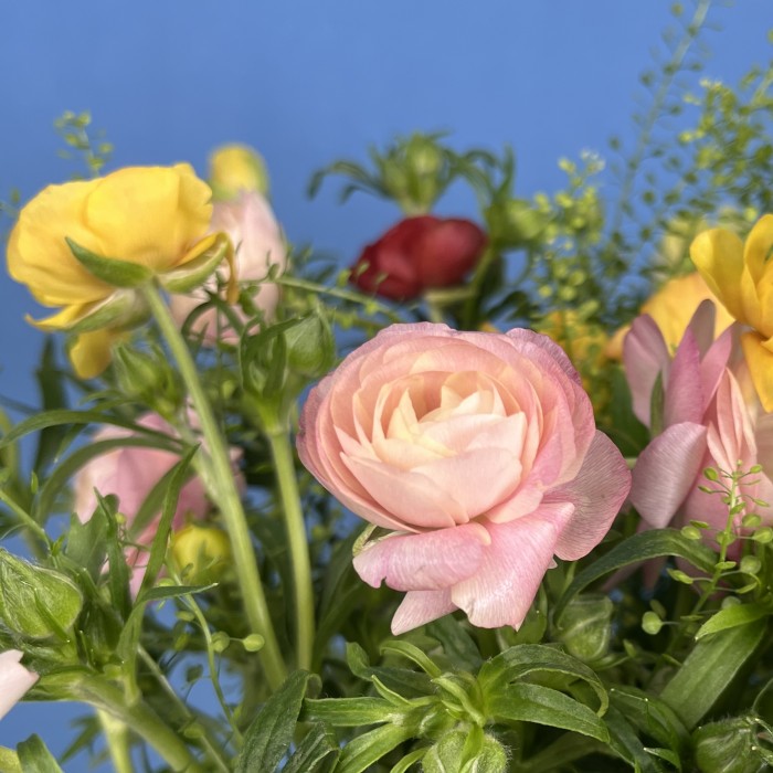 17 ярких полевых ранункулюсов с гринбелом